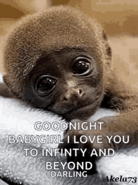 a baby gorilla is laying on a blanket and says `` goodnight babygirl i love you '' .