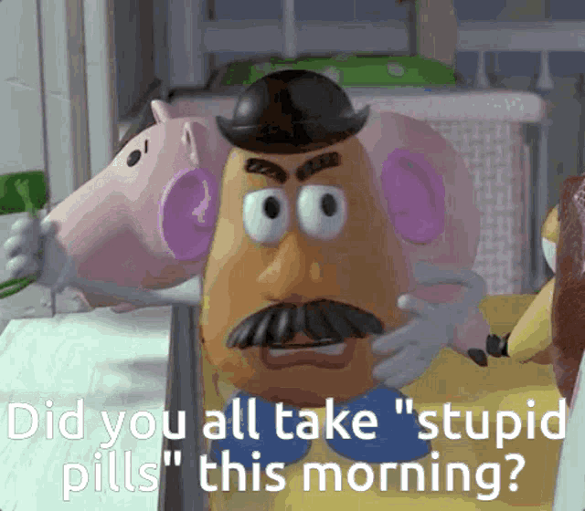 a mr potato head from toy story says " did you all take stupid pills "
