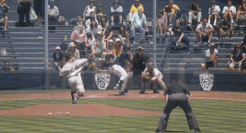 Rodriguez Puts Player And Ball Over The Fence GIF - Rodriguez Ncaa Baseball GIFs