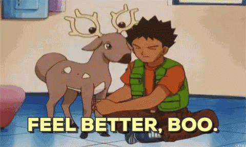 Feel Better Get Well GIF - Pokemon Brock Feel Better GIFs