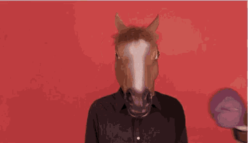 a person wearing a horse mask is getting a boxing glove thrown at them .