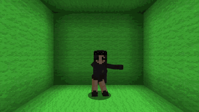 a minecraft character is standing in a green cube