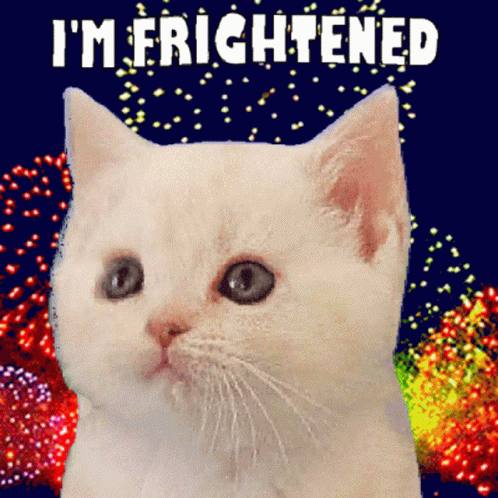 Im Frightened Pets And Fireworks GIF - Im Frightened Pets And Fireworks Scared GIFs