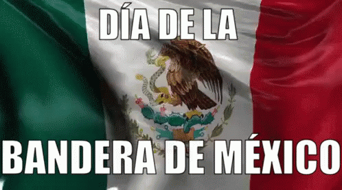 Bandera De México Animada GIF - Bandera De Mexico Dia Dela Bandera 24de Febrero GIFs