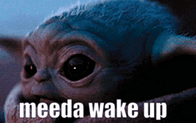 Meeda Wake Up Please GIF