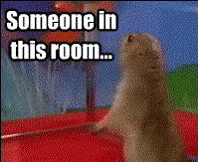 Prairie Dog Someone In This Room Is A Murderer GIF - Prairie Dog Someone In This Room Is A Murderer Murderer GIFs