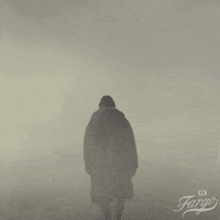 Kaspar Hauser Walking GIF - Kaspar Hauser Walking Fog GIFs