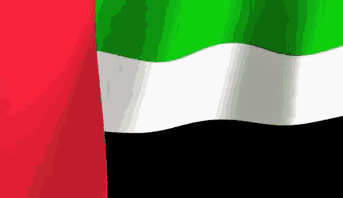 a close up of the flag of the united arab emirates waving in the wind .