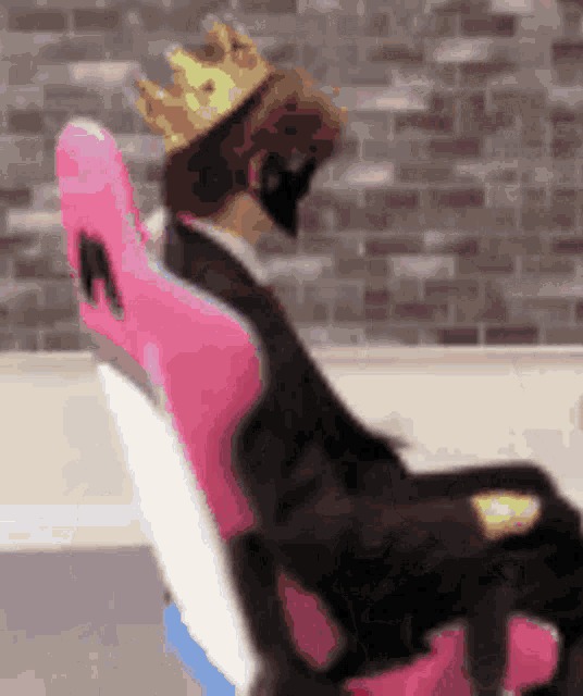 a dog is sitting in a pink chair wearing a crown .