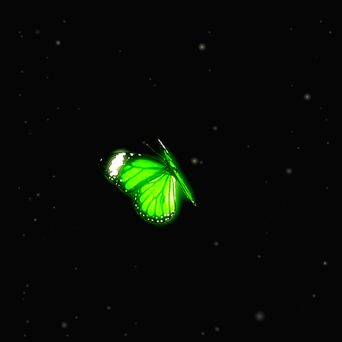 a green butterfly with white spots on its wings is flying in the dark