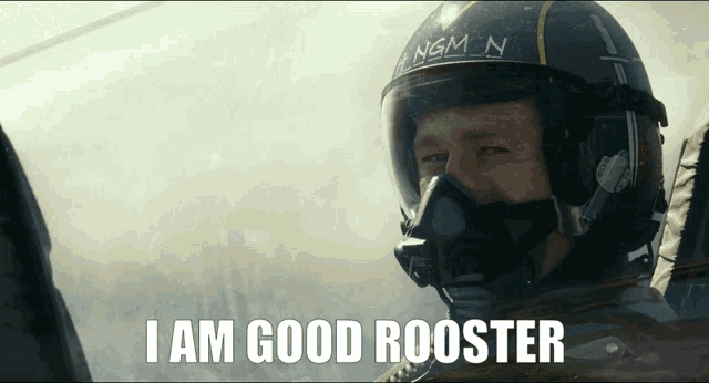 Rooster Top Gun GIF