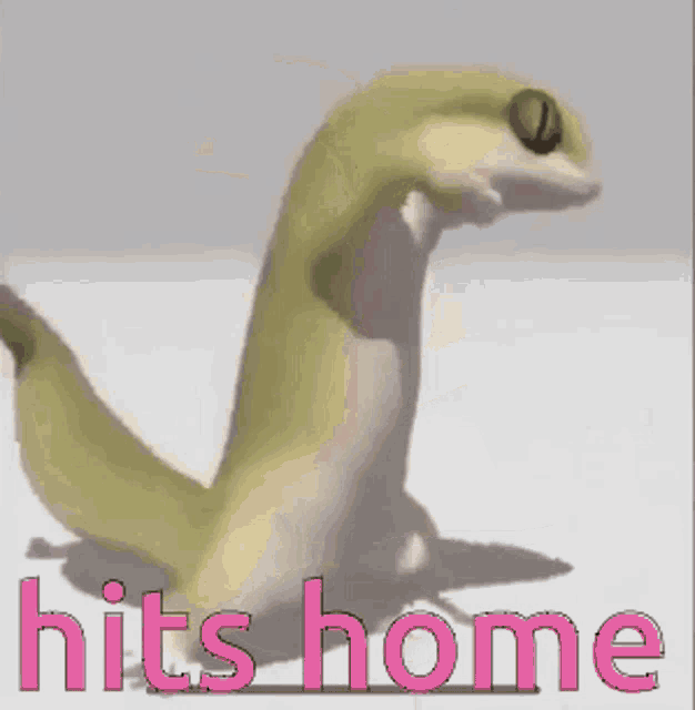 Dancing Lizard Hits Home GIF - Dancing Lizard Hits Home Dance GIFs