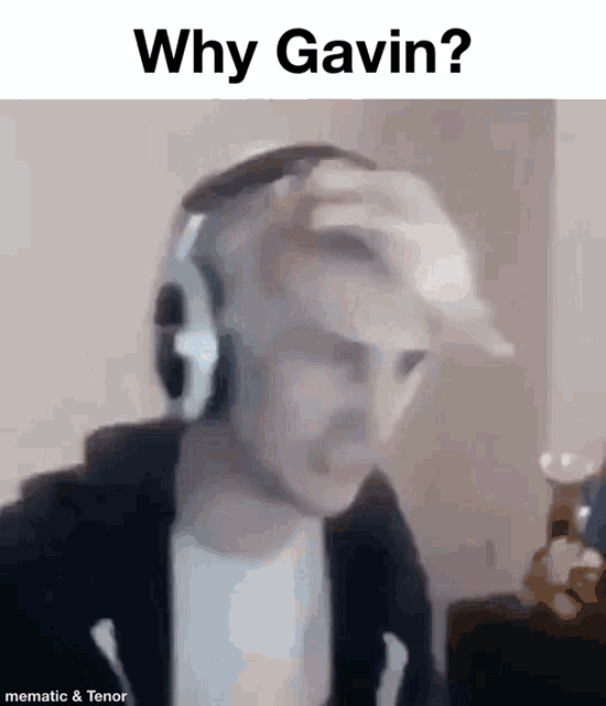 Gavin Why Gavin GIF - Gavin Why Gavin Why GIFs
