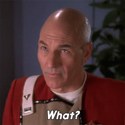 What Captain Jean Luc Picard GIF - What Captain Jean Luc Picard Star Trek GIFs