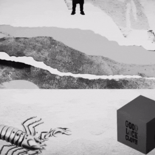 a black and white drawing of a scorpion next to a box that says good luck clown