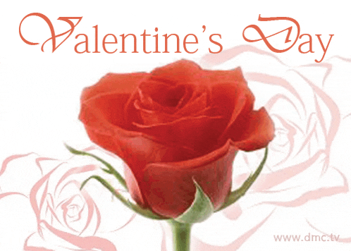 valentine 's day greeting card with a red rose