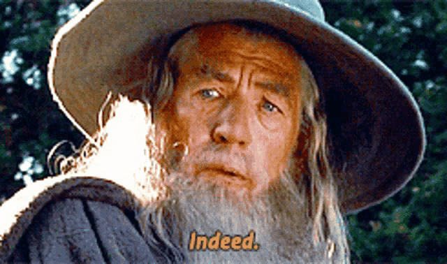 a man with a beard is wearing a hat and says indeed