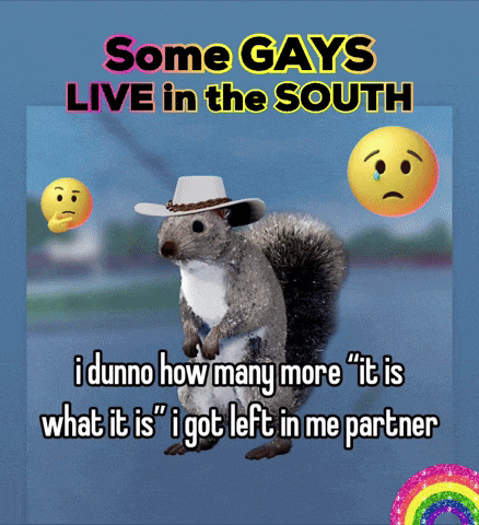 a squirrel wearing a cowboy hat with the words some gays live in the south