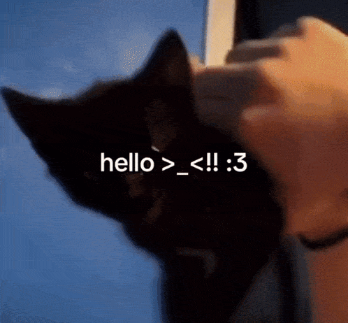 Cat Cute GIF - Cat Cute Hello GIFs