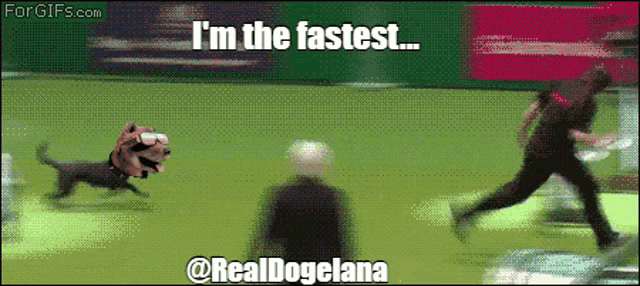 a gif of a dog running with the words i 'm the fastest