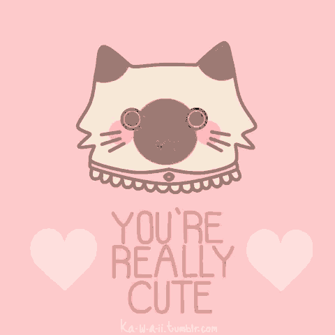 a drawing of a cat with the words " you 're really cute " on a pink background