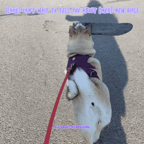 a picture of a dog on a leash with a caption that says " she can 't wait to tell you about her new girl "