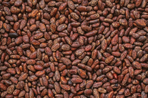 Cacao Beans GIF - Cacao Beans GIFs