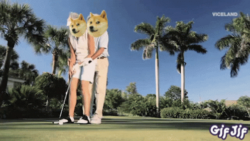 Dogecoin Tweet Doge GIF - Dogecoin Tweet Doge Dogecoin GIFs
