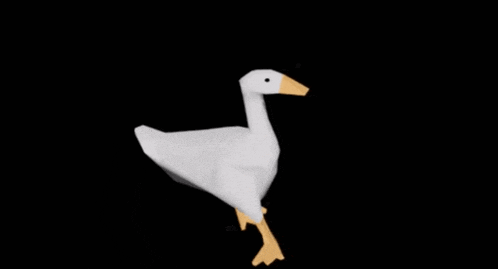 a white goose with yellow feet and a black background is walking .