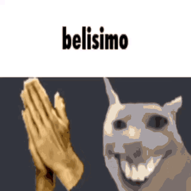 a picture of a praying hand and a smiling cat with the words belisimo on the bottom .