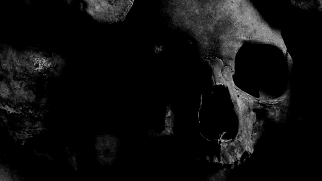 a black and white photo of a skull with the word hai written in white on it .