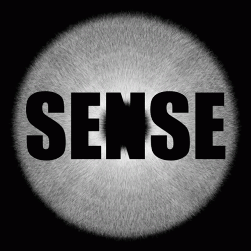 Sense Journal Sense GIF - Sense Journal Sense GIFs