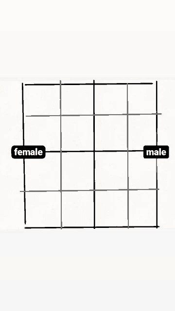 a black and white drawing of a grid with the words female and male .