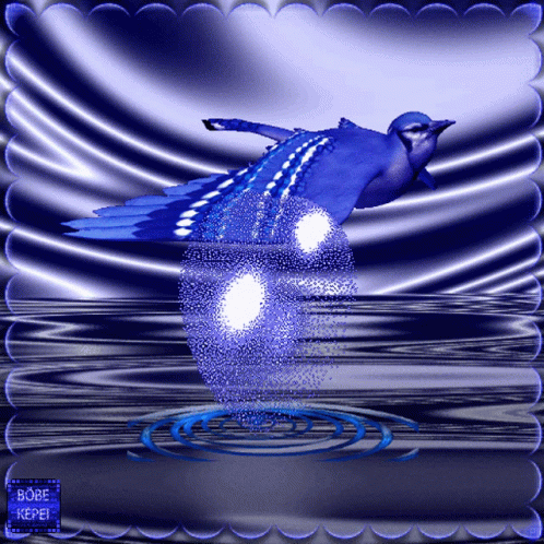 Blue Bird Bird GIF - Blue Bird Bird Heart GIFs