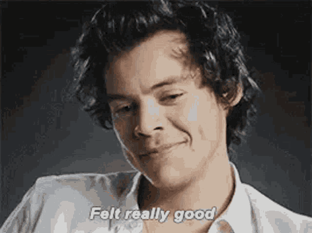Harry Styles Felt Really Good GIF - Harry Styles Felt Really Good Handsome GIFs