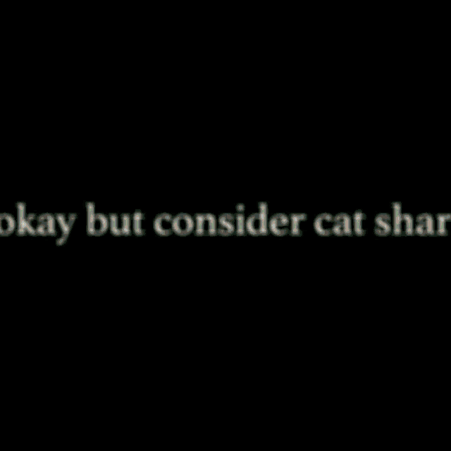 Cat Shark Cat GIF - Cat Shark Cat Shark GIFs