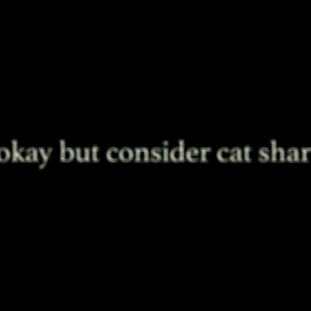Cat Shark Cat GIF