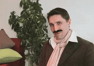 a man with a fake mustache is wearing a scarf and a suit
