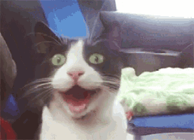 No Waaaay GIF