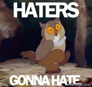 Owl Haters Gonna Hate GIF - Owl Haters Gonna Hate GIFs