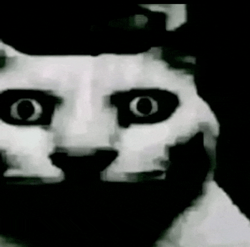 a black and white photo of a cat 's face with big black eyes .
