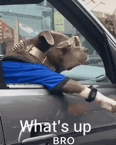 a dog wearing sunglasses and a blue shirt is sitting in a car with the words what 's up bro on the door