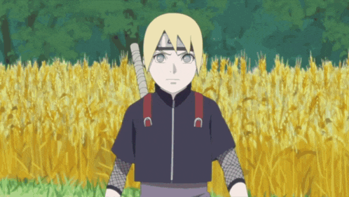 a young boy with a sword stands in a field of wheat