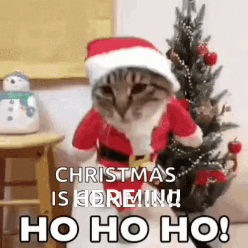 Christmas Christmas Cat GIF - Christmas Christmas Cat GIFs