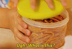 Chinese Lunch GIF - Asian GIFs