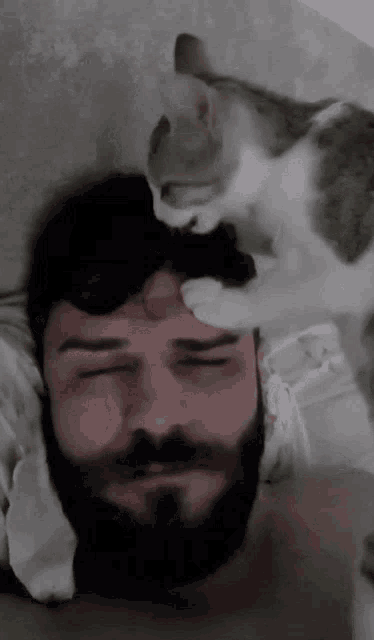 поздняков думайте GIF