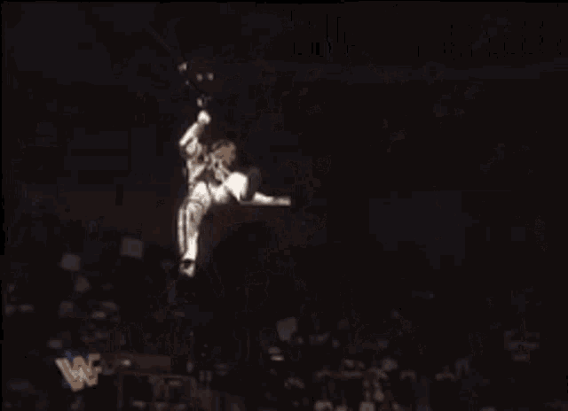 Hbk Shawn Michaels GIF - Hbk Shawn Michaels Zipline GIFs