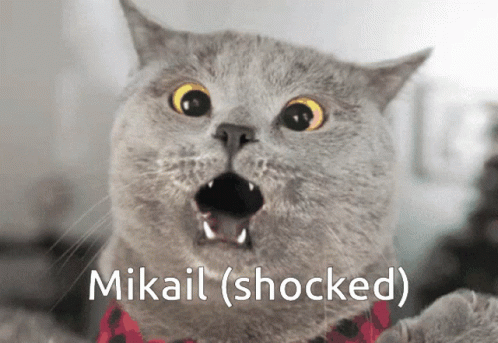 Mikail Shocked GIF - Mikail Shocked GIFs