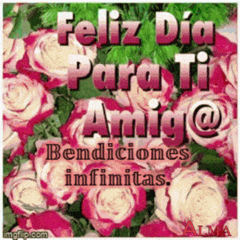 a bouquet of pink and white roses with the words feliz dia para ti amigo @ bendiciones infinitas
