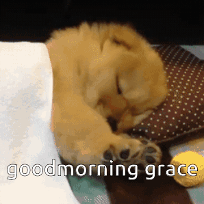 Grace Goodmorning GIF